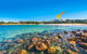 Whale View - Grand Luxurious Beachfront Home - thumb 0