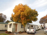 Book Wodonga Accommodation Vacations Your Accommodation Your Accommodation