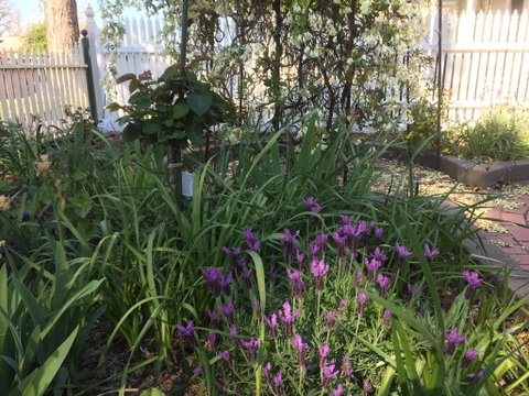Yapera On Lucan - Your Accommodation 2