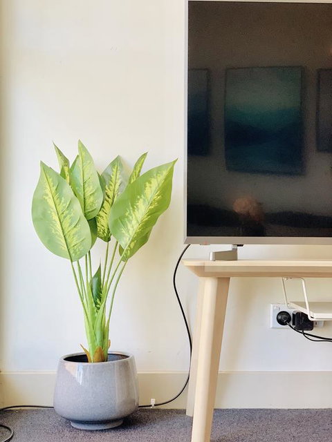 ZEN Homes On Collins - Your Accommodation 3