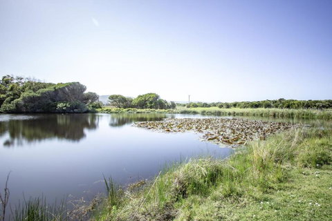 Apollo Bay Cottages- Sabine - Your Accommodation 3