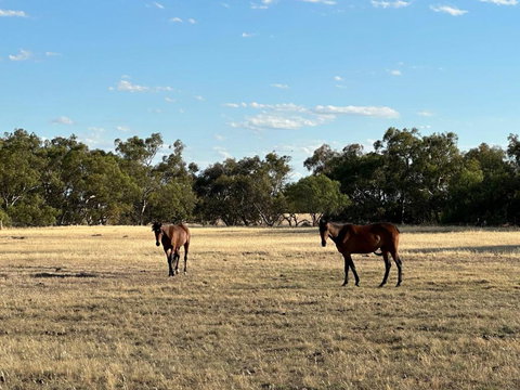Banyena Homestead By Tiny Away - Your Accommodation 2