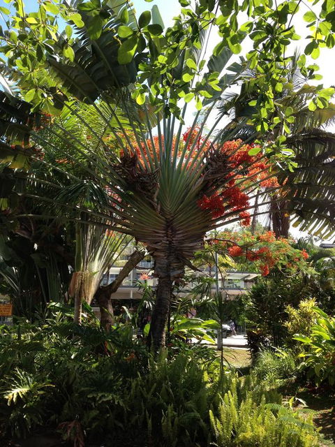 Port Douglas Apartments - Adults Only Oasis - Your Accommodation 39