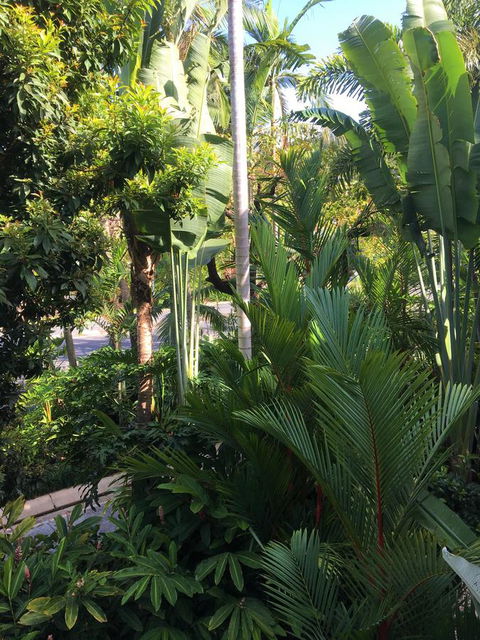 Port Douglas Apartments - Adults Only Oasis - Your Accommodation 1