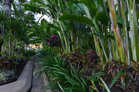 Port Douglas Apartments - Adults Only Oasis - Your Accommodation 9