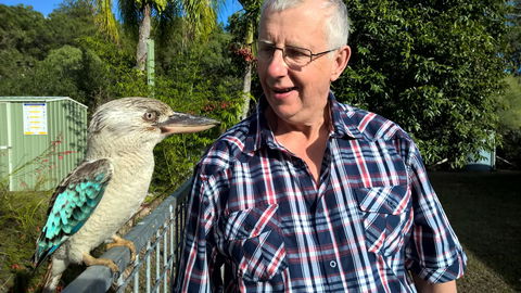 Magnetic Island Bed And Breakfast - Your Accommodation 33