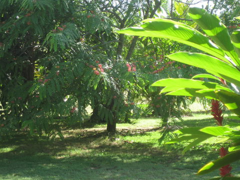 Magnetic Island Bed And Breakfast - Your Accommodation 36