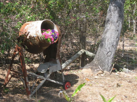Magnetic Island Bed And Breakfast - Your Accommodation 32