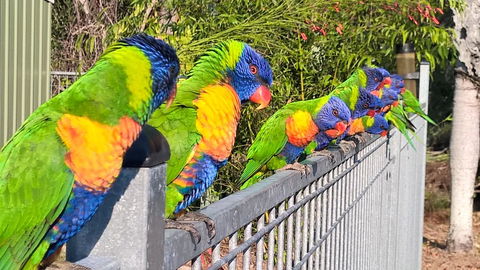 Magnetic Island Bed And Breakfast - Your Accommodation 6