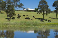 Book Nabiac Accommodation Vacations Your Accommodation Your Accommodation