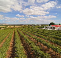 1837 Barossa Luxury Vineyard Cottages - Your Accommodation