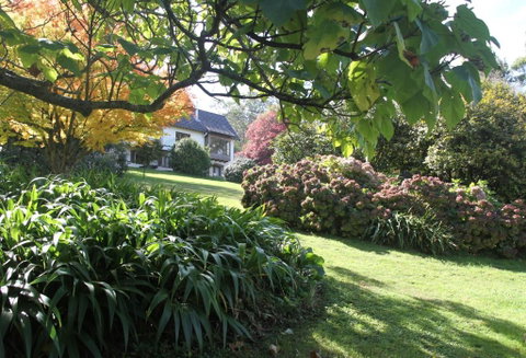 Boyanda At Ferny Creek - Your Accommodation 2