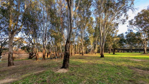 Deniliquin Riverside Caravan Park - Your Accommodation 3