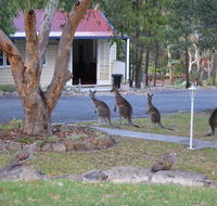 31 The Rocks - Your Accommodation