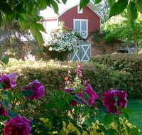 A Country Barn Retreat - Your Accommodation