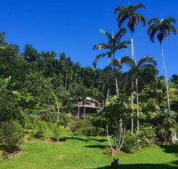 A Daintree Garden - Your Accommodation