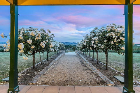 Abbotsford Country House Barossa Valley - Your Accommodation 1