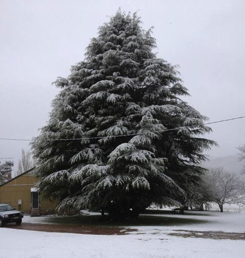 Duckmaloi Park Lodge - Your Accommodation 3