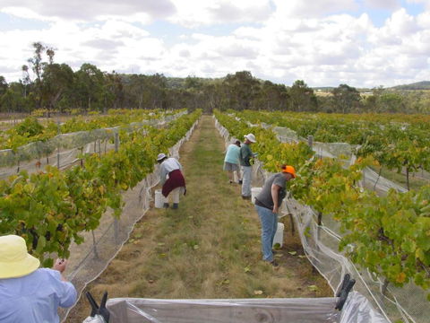 Fergies Hill Spa Cottage @ Granite Ridge Wines - Your Accommodation 2