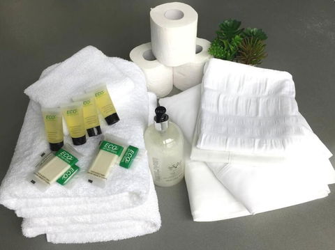 FERNLY BFast, WiFi Nflx AC Walk2Pizza Liquor Deli, - Your Accommodation 4