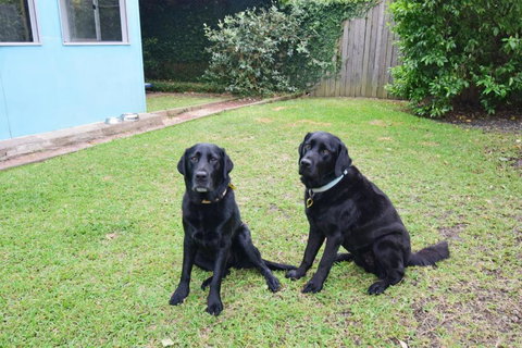 GERR14C - Salty Dog - Your Accommodation 3