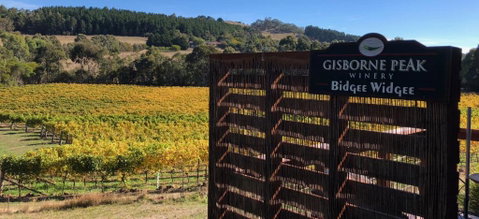 Gisborne Peak Winery Short Term Stays - Your Accommodation 0