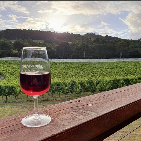 Gisborne Peak Winery Short Term Stays - Your Accommodation 3