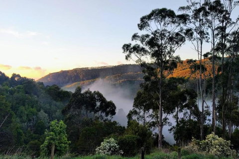 HILLSIDE HOUSE - Your Accommodation 2