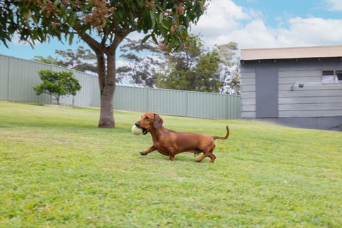 Illaroo House 16 Verona Rd - Pet Friendly, Boat Parking, Wi-Fi - Your Accommodation 2