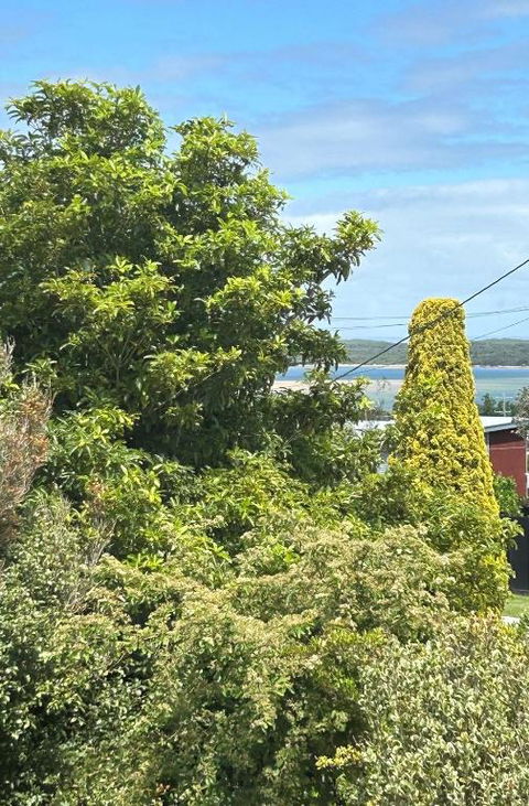 Iconic Beach House On Bruce - Your Accommodation 1