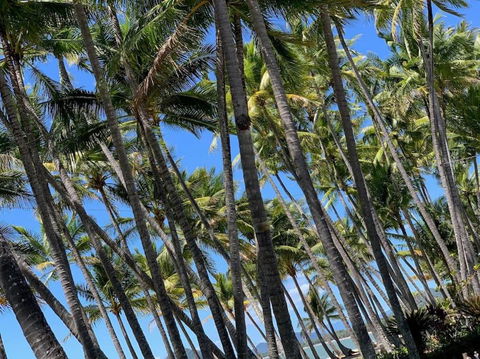 IMPORTANT MESSAGE This Property Is Not Currently Available For Holiday Letting - Your Accommodation 1