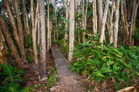 Agnes Palms Accommodation