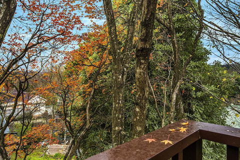 Allambee - Your Accommodation 2