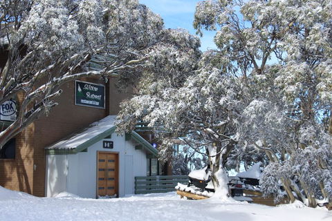 Alpine Retreat Mt Buller - Your Accommodation 0