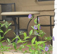 Amalie Cottage Waikerie - Your Accommodation