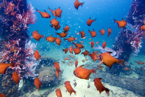 API Busselton Seaside Escape Apartments - Your Accommodation 1