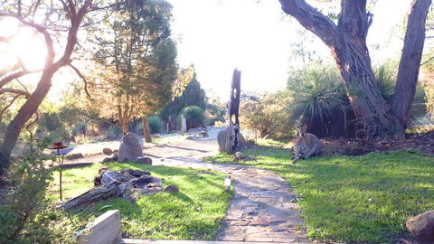 Aquila Eco Lodges - Your Accommodation 3