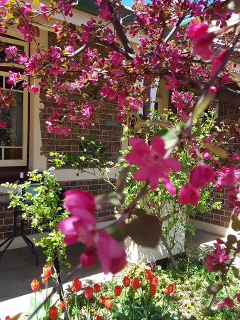 Arden On McLachlan - Your Accommodation 3