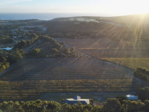 Arimia Estate Guesthouse - Your Accommodation 1