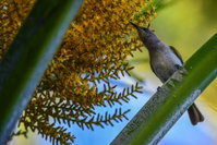 Book Karumba Accommodation Vacations Your Accommodation Your Accommodation
