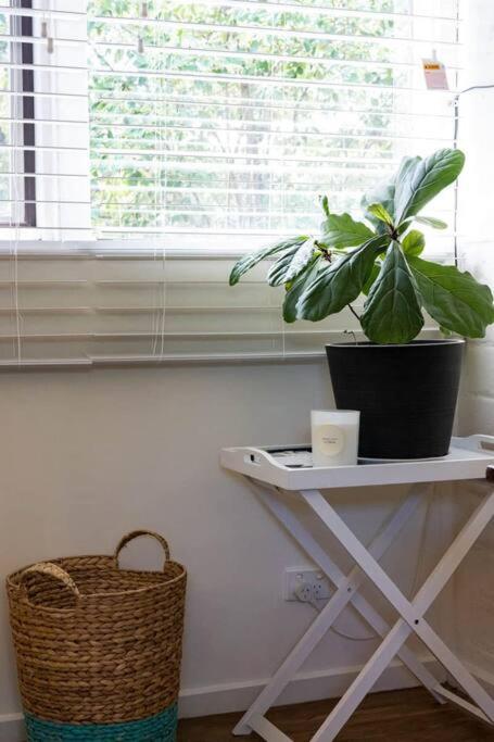 Maldon Cosy Garden Cottage - Charming One Room Studio - Your Accommodation 3