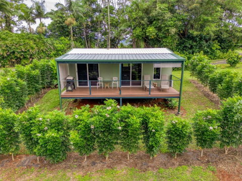 Mena Creek Flower House - Your Accommodation 2