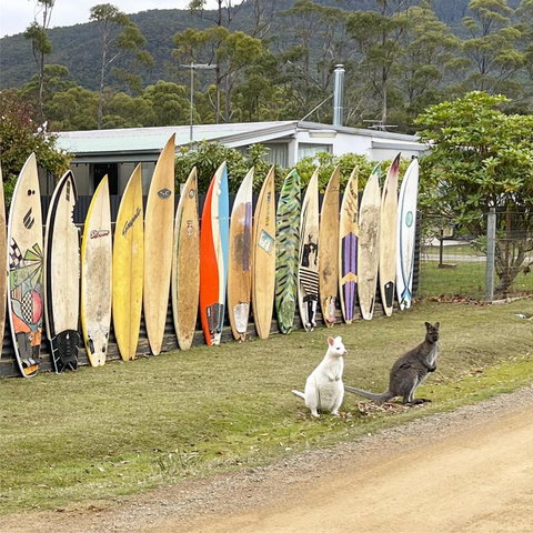 NOFOMO AT ADVENTURE BAY - Your Accommodation 0