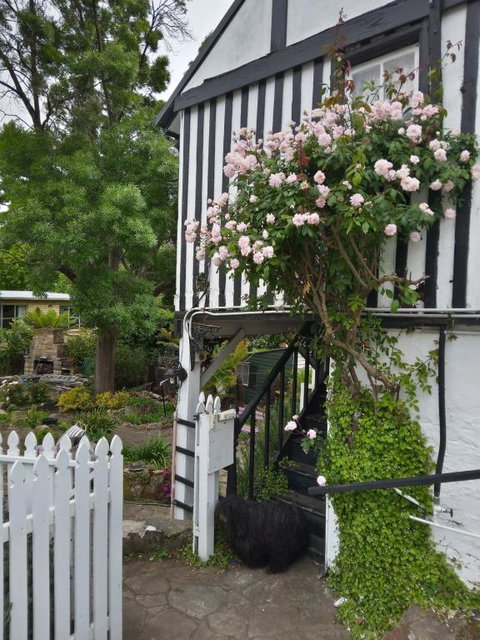 Old Colony Inn - Your Accommodation 2