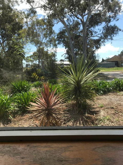 Paradise Grove - Your Accommodation 2