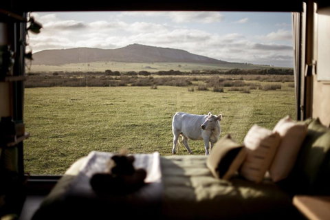 Peter The Tiny Cabin In Esperance - Your Accommodation 0