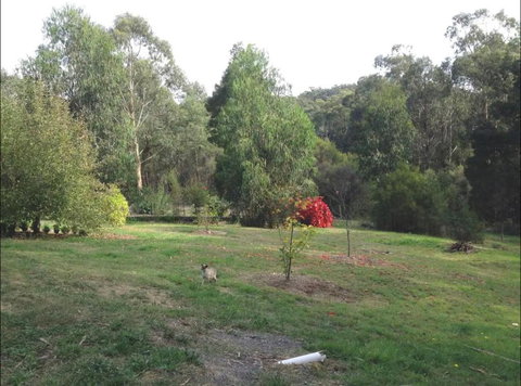 Rainy Hill Retreat - The Cottage - Your Accommodation 1