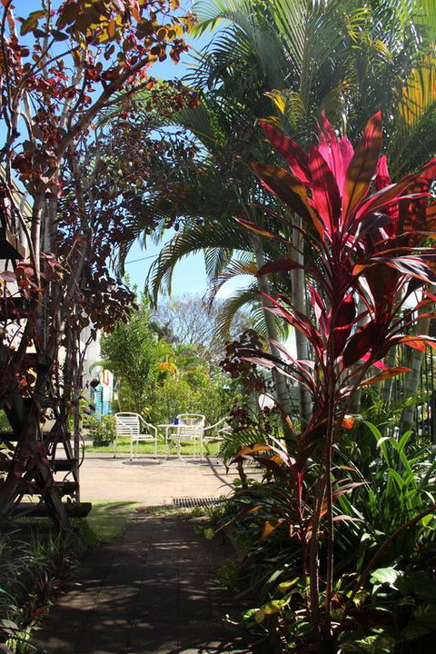 Asylum Cairns Hostel - Your Accommodation 0
