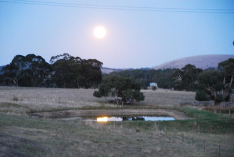 Back Valley Farm Stay Bed And Breakfast - Your Accommodation 3