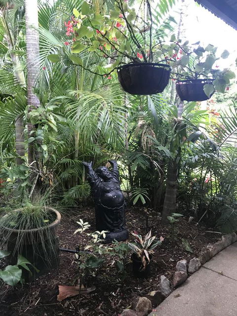 Bali Inspired Hideaway With Tropical Villa & Plunge Pool - Your Accommodation 3